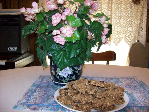 Oatmeal cookies